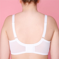 back