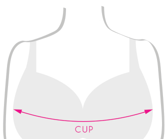 Lingerie guide